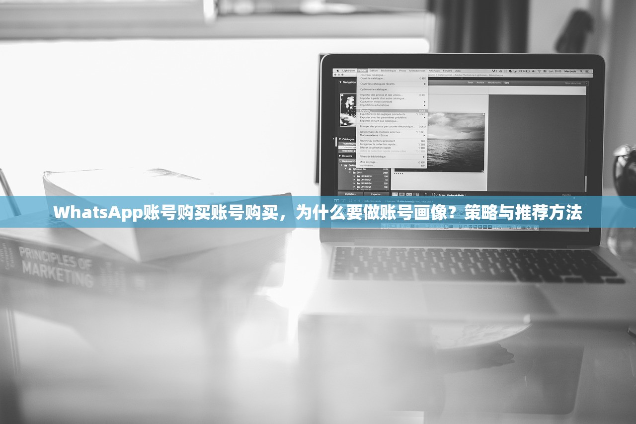 WhatsApp账号购买账号购买,为什么要做账号画像?策略与推荐方法