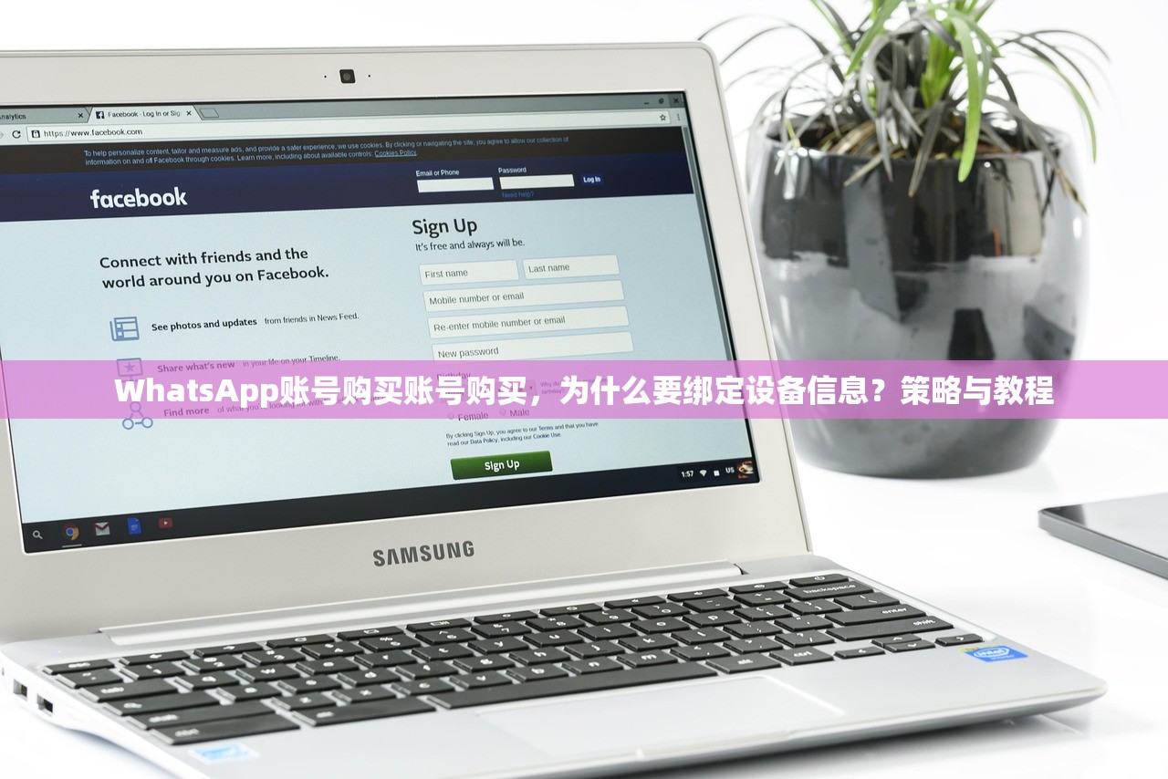 WhatsApp账号购买账号购买，为什么要绑定设备信息？策略与教程