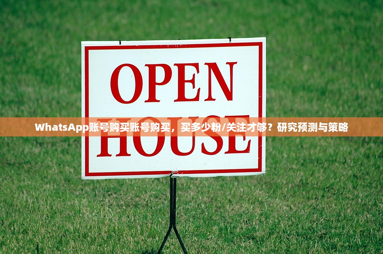 WhatsApp账号购买账号购买,买多少粉/关注才够?研究预测与策略