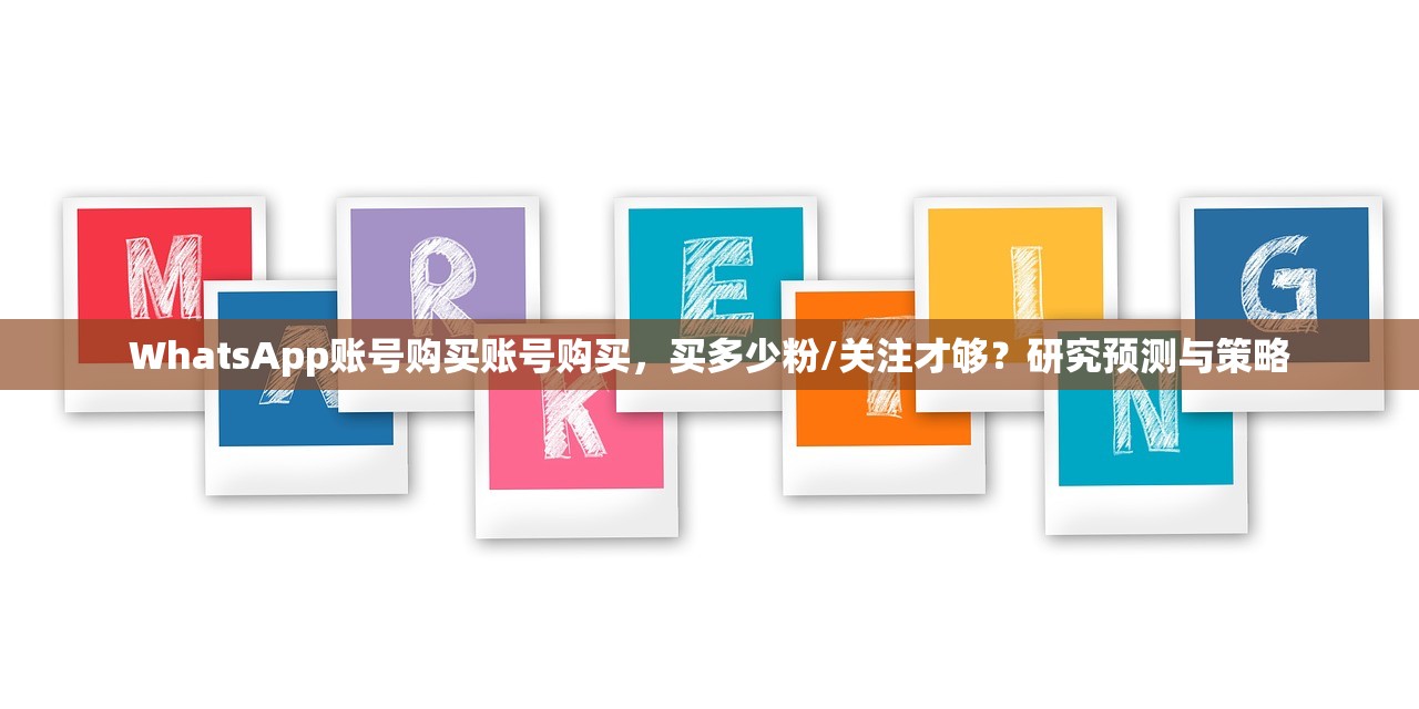 WhatsApp账号购买账号购买,买多少粉/关注才够?研究预测与策略