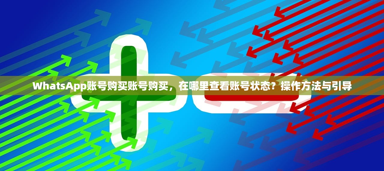 WhatsApp账号购买账号购买,在哪里查看账号状态?操作方法与引导