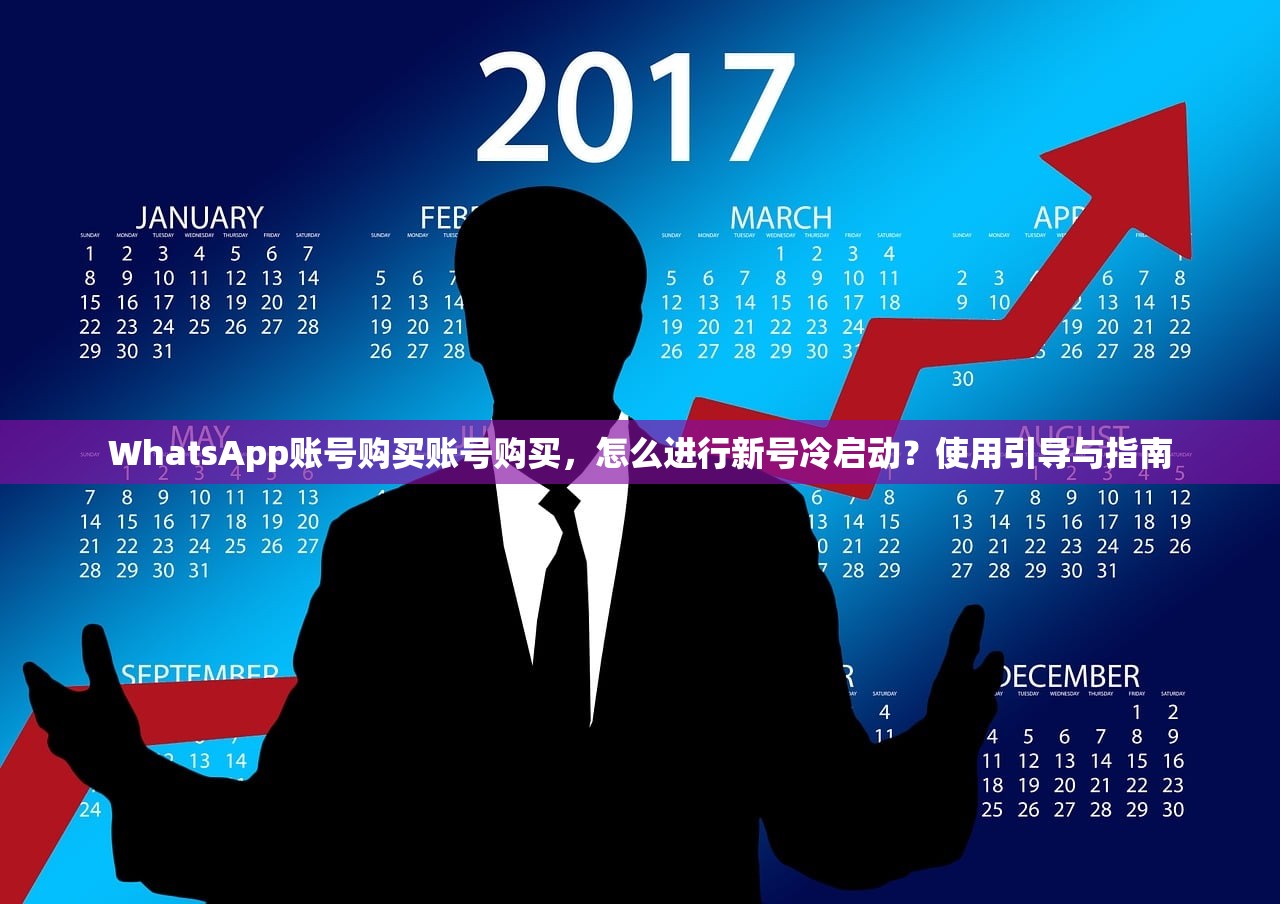 WhatsApp账号购买账号购买,怎么进行新号冷启动?使用引导与指南