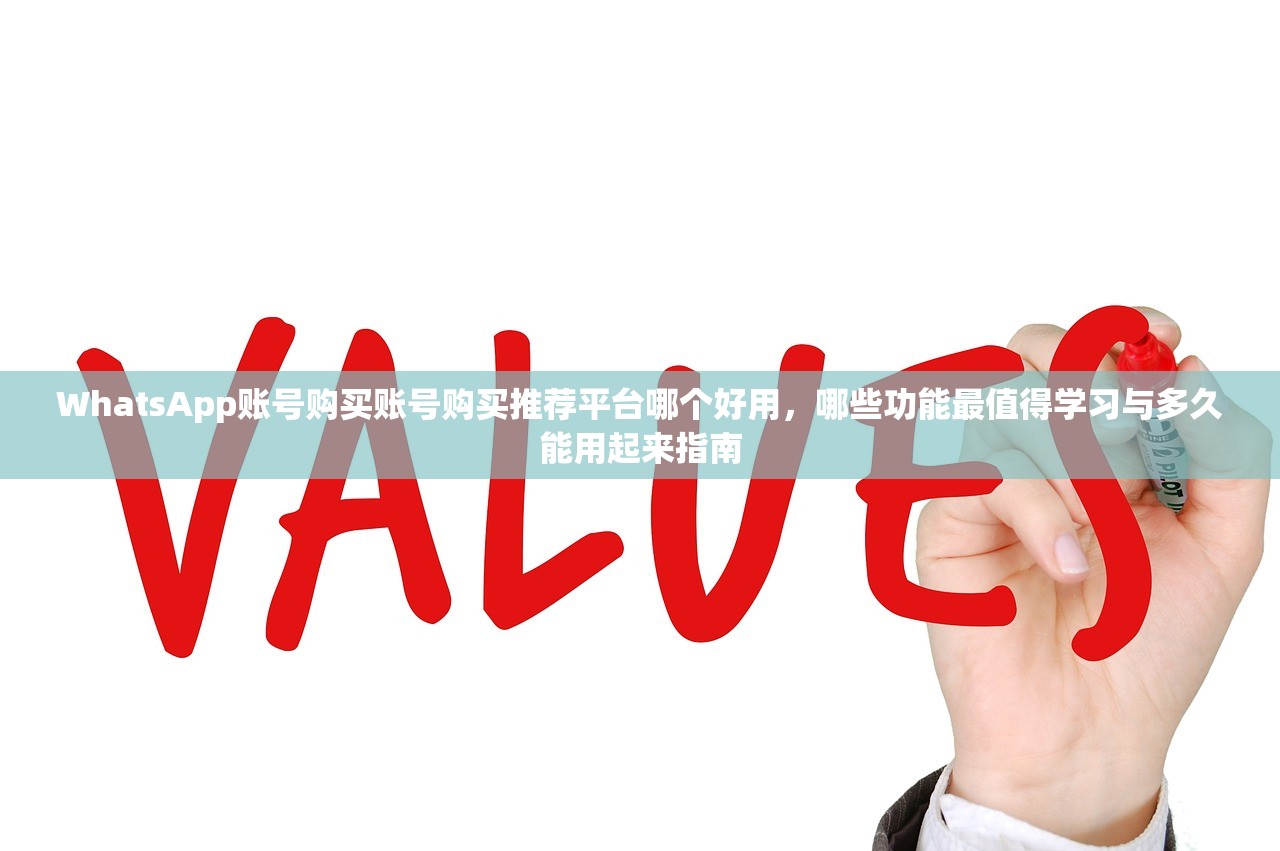 WhatsApp账号购买账号购买推荐平台哪个好用,哪些功能最值得学习与多久能用起来指南