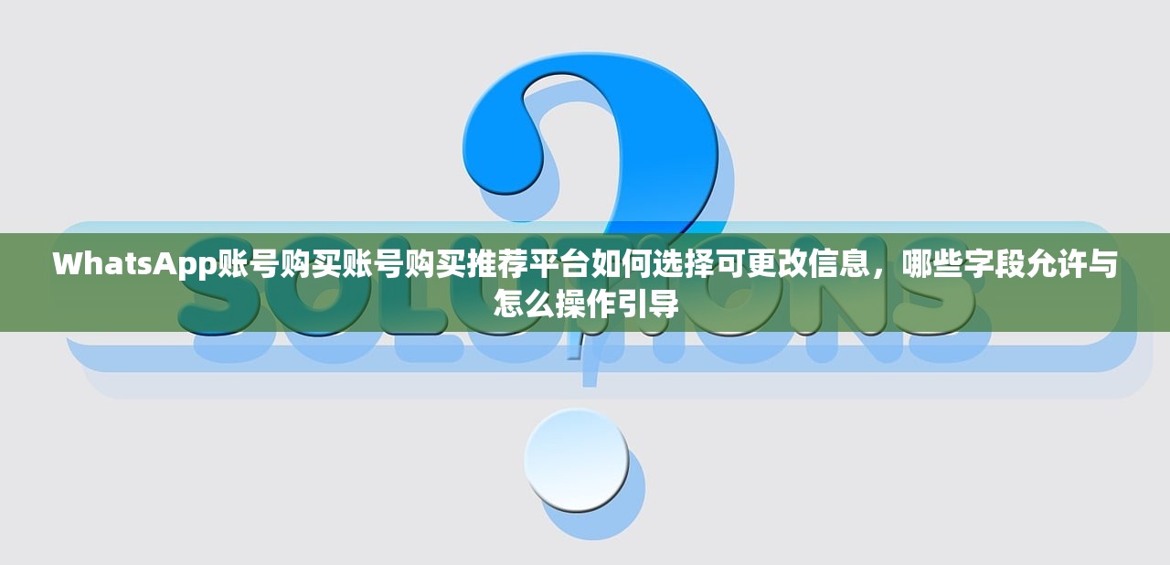 WhatsApp账号购买账号购买推荐平台如何选择可更改信息,哪些字段允许与怎么操作引导