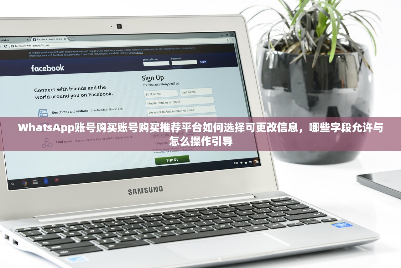 WhatsApp账号购买账号购买推荐平台如何选择可更改信息,哪些字段允许与怎么操作引导