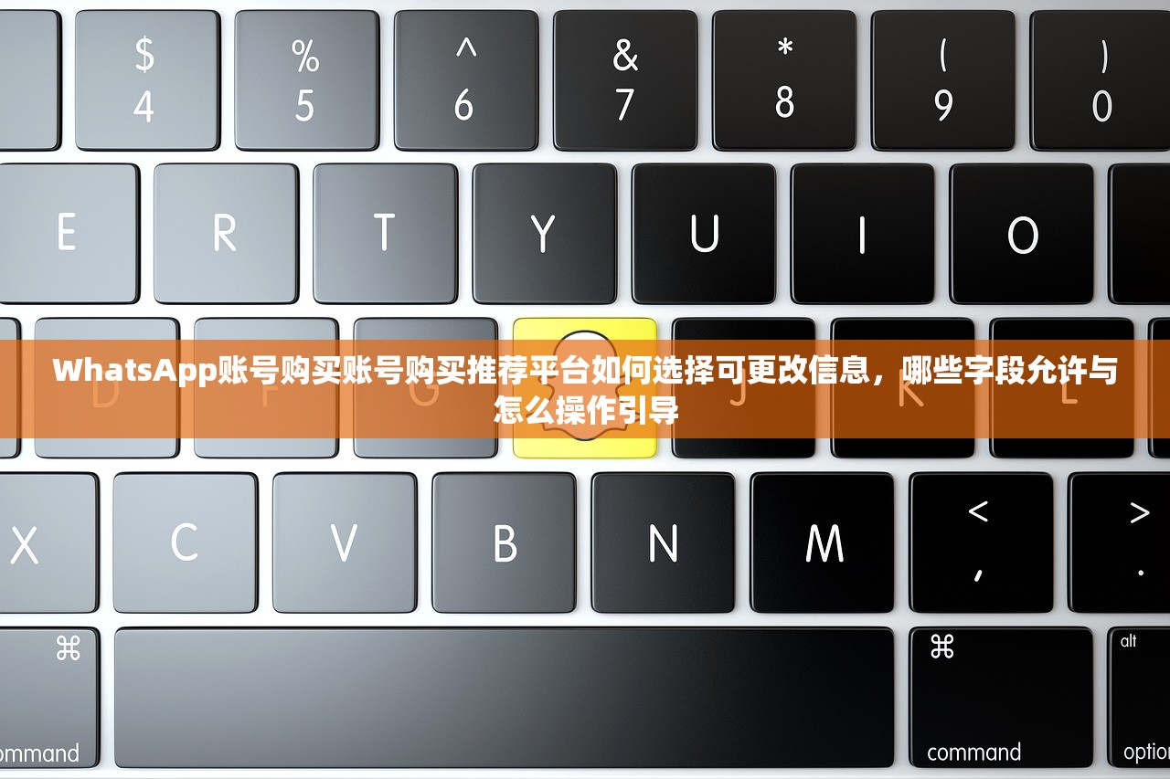 WhatsApp账号购买账号购买推荐平台如何选择可更改信息,哪些字段允许与怎么操作引导