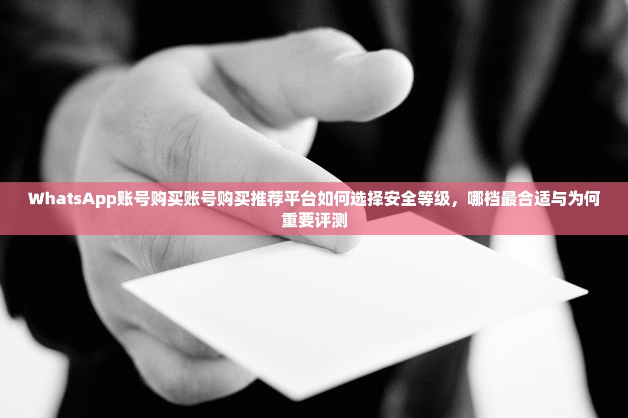 WhatsApp账号购买账号购买推荐平台如何选择安全等级,哪档最合适与为何重要评测