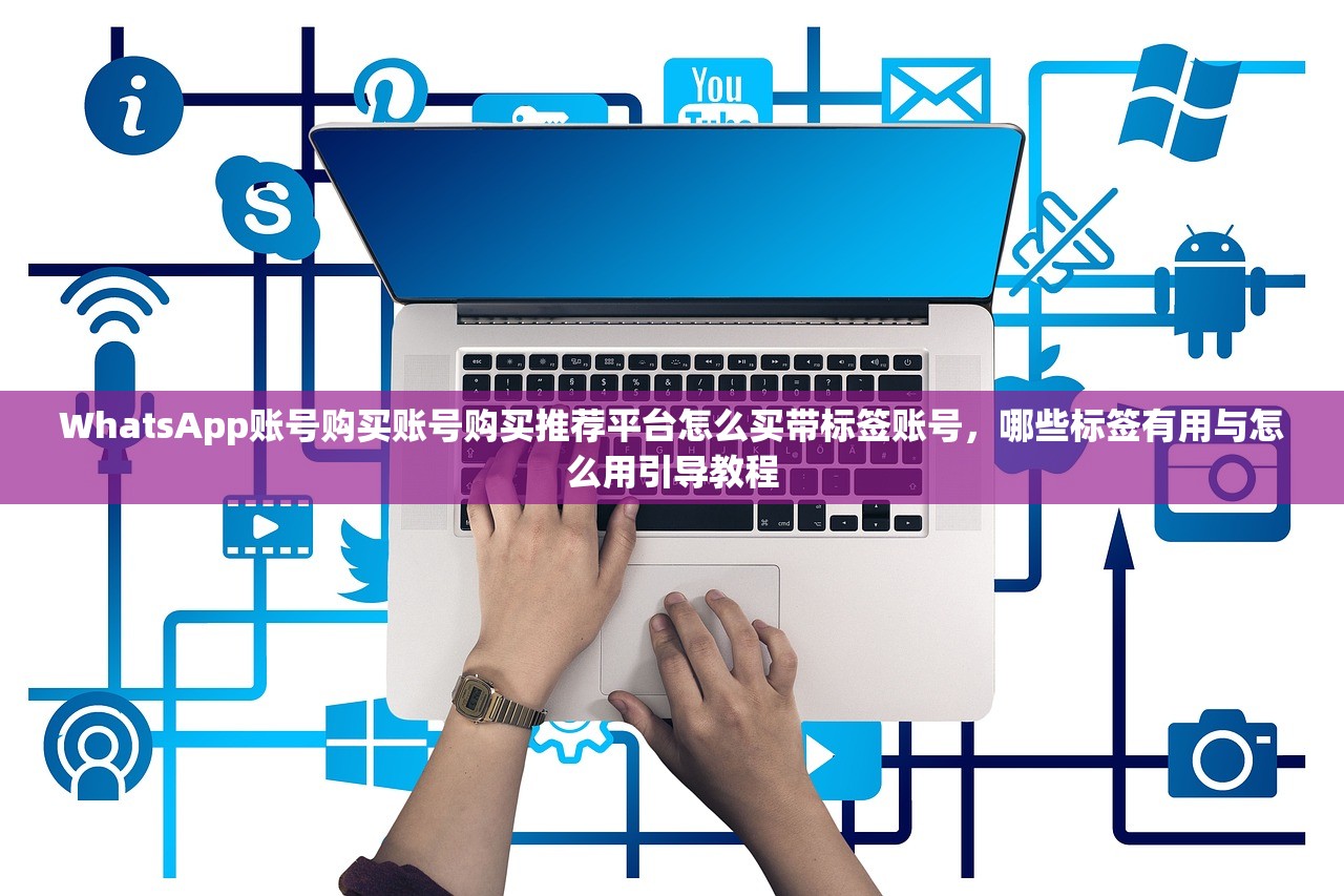 WhatsApp账号购买账号购买推荐平台怎么买带标签账号,哪些标签有用与怎么用引导教程
