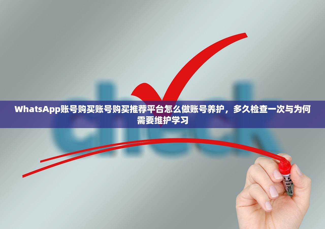WhatsApp账号购买账号购买推荐平台怎么做账号养护,多久检查一次与为何需要维护学习