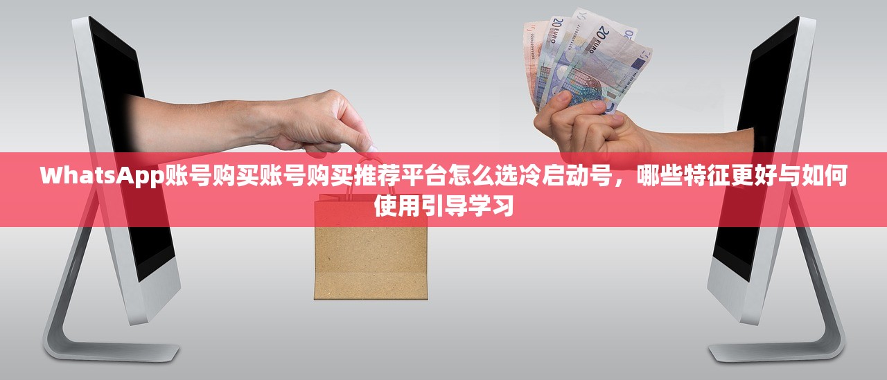 WhatsApp账号购买账号购买推荐平台怎么选冷启动号,哪些特征更好与如何使用引导学习