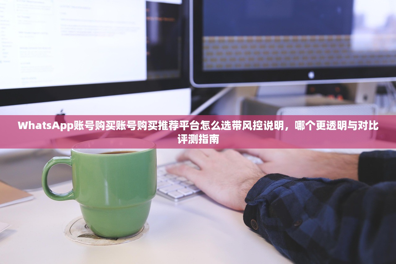 WhatsApp账号购买账号购买推荐平台怎么选带风控说明,哪个更透明与对比评测指南