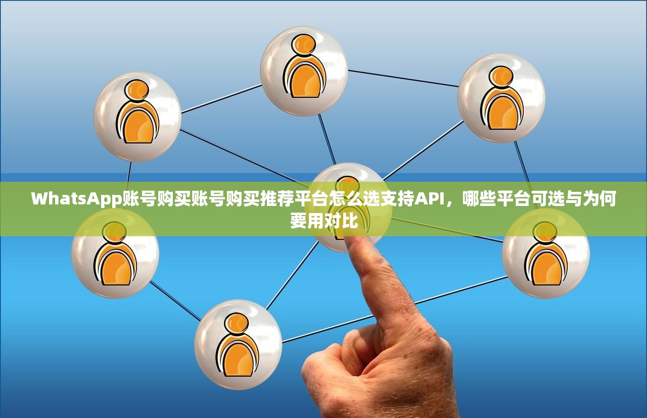 WhatsApp账号购买账号购买推荐平台怎么选支持API，哪些平台可选与为何要用对比
