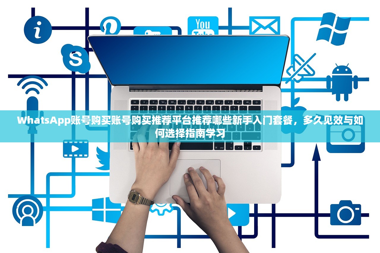 WhatsApp账号购买账号购买推荐平台推荐哪些新手入门套餐，多久见效与如何选择指南学习