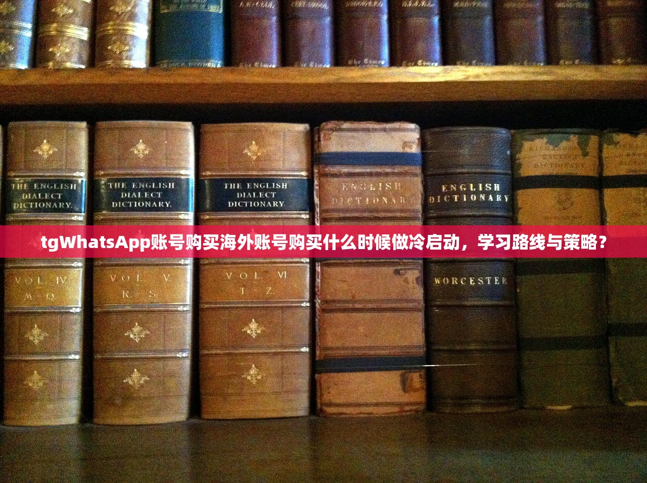 tgWhatsApp账号购买海外账号购买什么时候做冷启动,学习路线与策略?