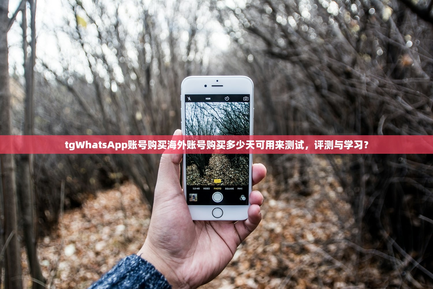 tgWhatsApp账号购买海外账号购买多少天可用来测试,评测与学习?