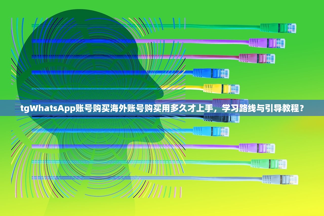 tgWhatsApp账号购买海外账号购买用多久才上手,学习路线与引导教程?
