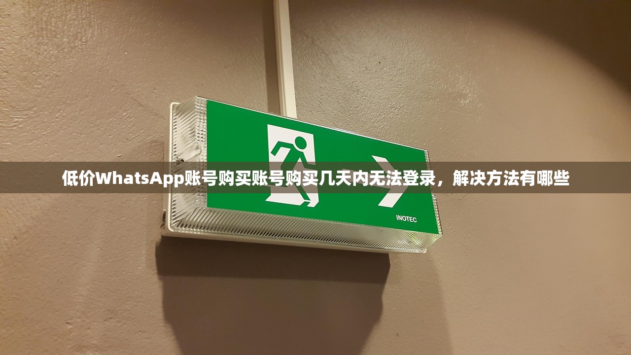 低价WhatsApp账号购买账号购买几天内无法登录，解决方法有哪些