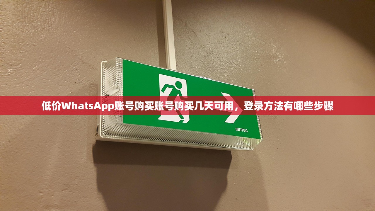 低价WhatsApp账号购买账号购买几天可用，登录方法有哪些步骤