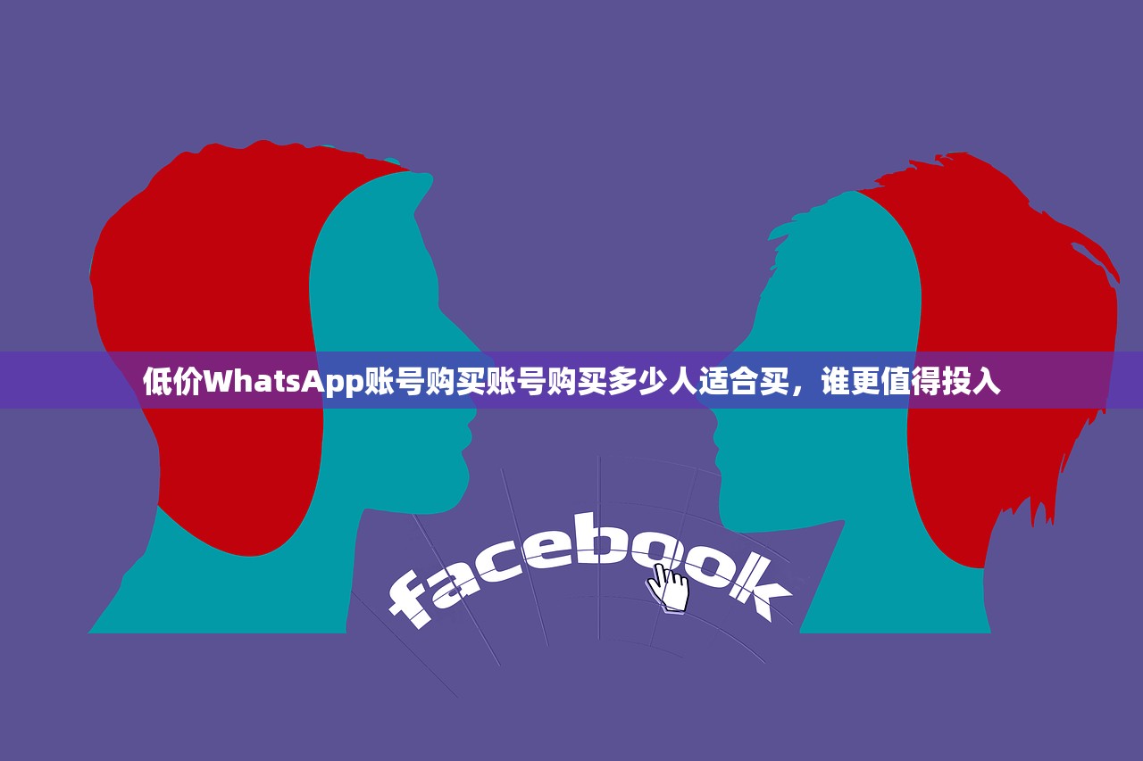低价WhatsApp账号购买账号购买多少人适合买，谁更值得投入