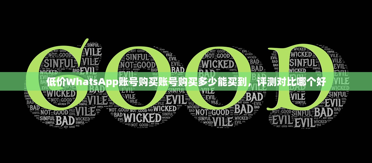 低价WhatsApp账号购买账号购买多少能买到，评测对比哪个好
