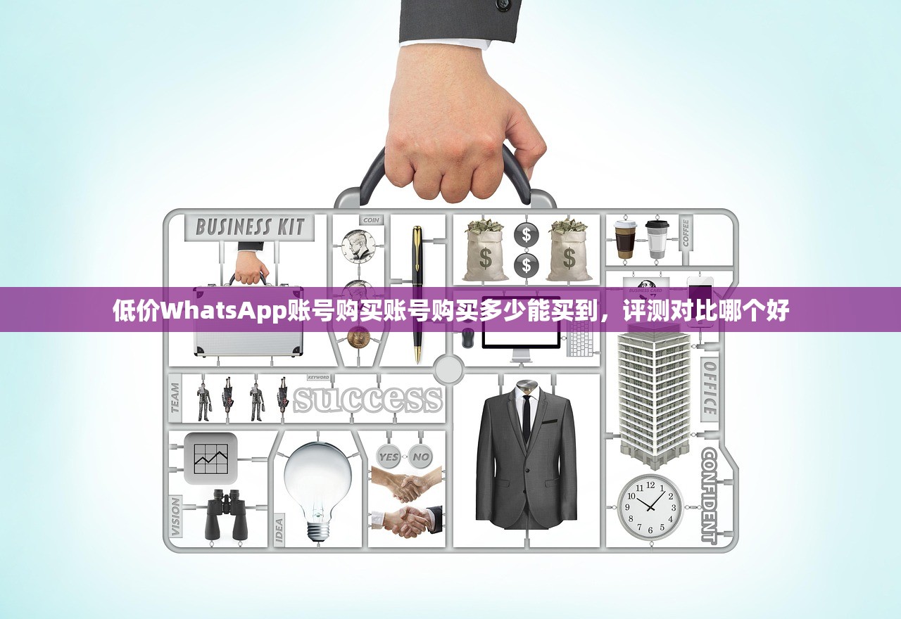 低价WhatsApp账号购买账号购买多少能买到,评测对比哪个好
