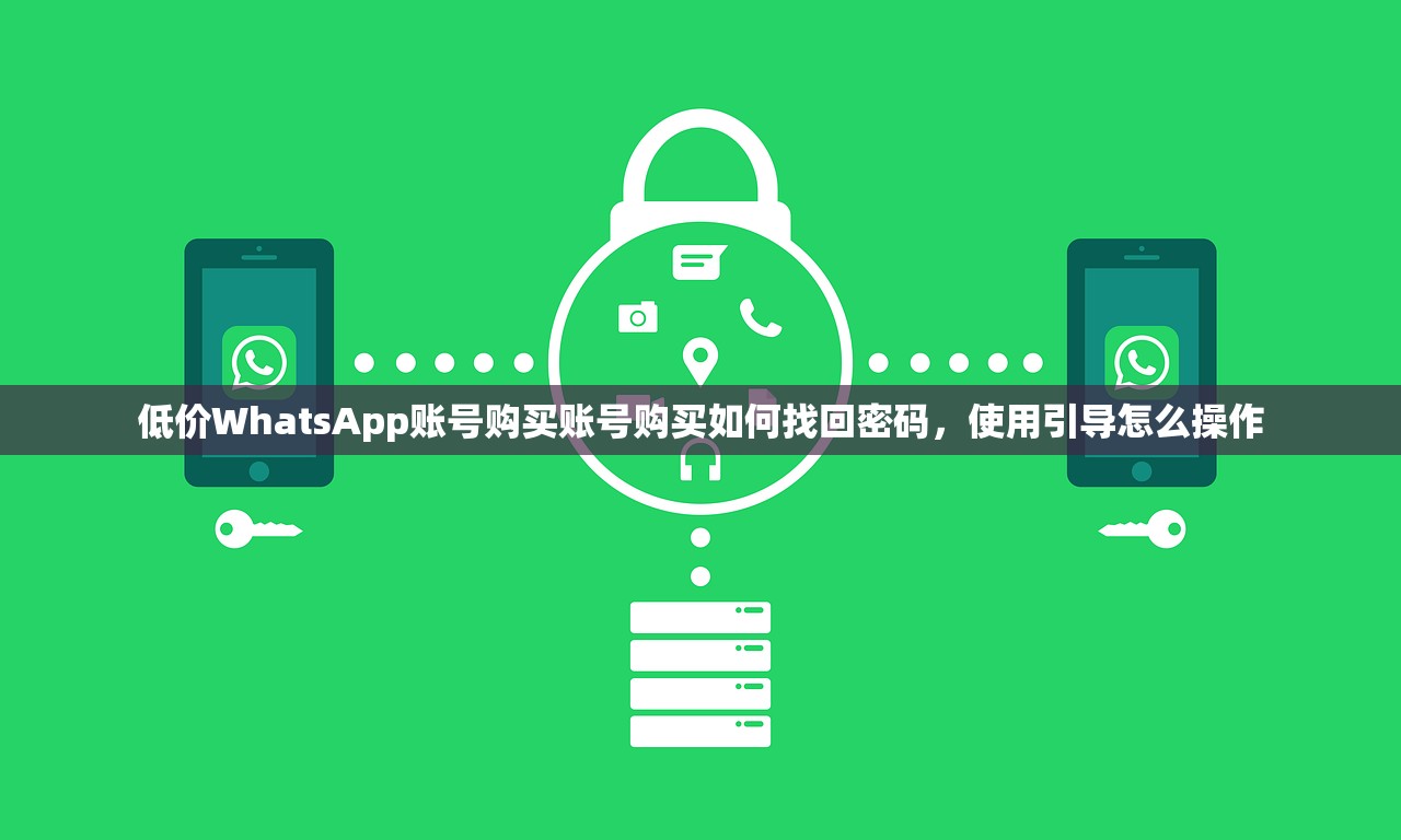 低价WhatsApp账号购买账号购买如何找回密码，使用引导怎么操作