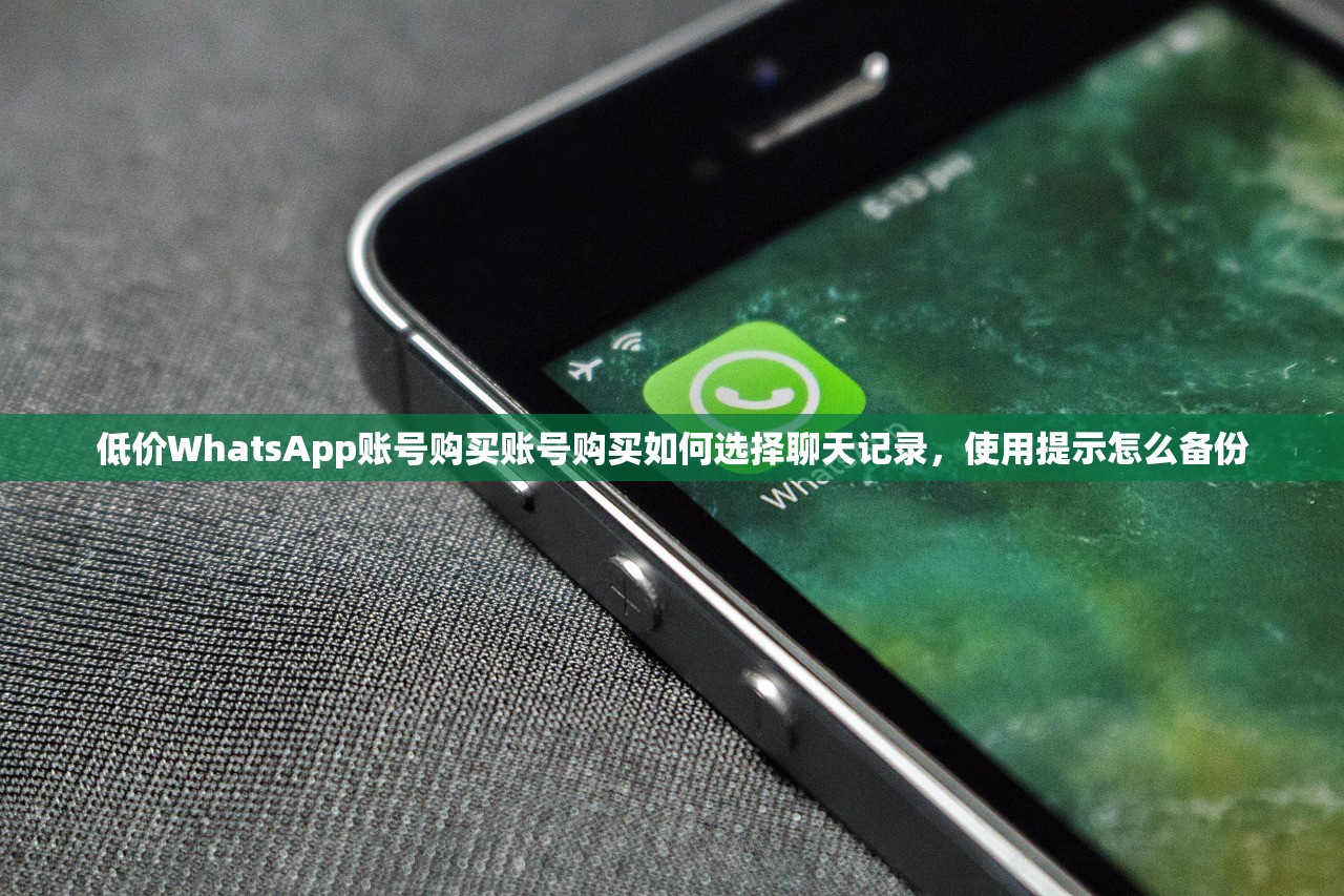 低价WhatsApp账号购买账号购买如何选择聊天记录，使用提示怎么备份