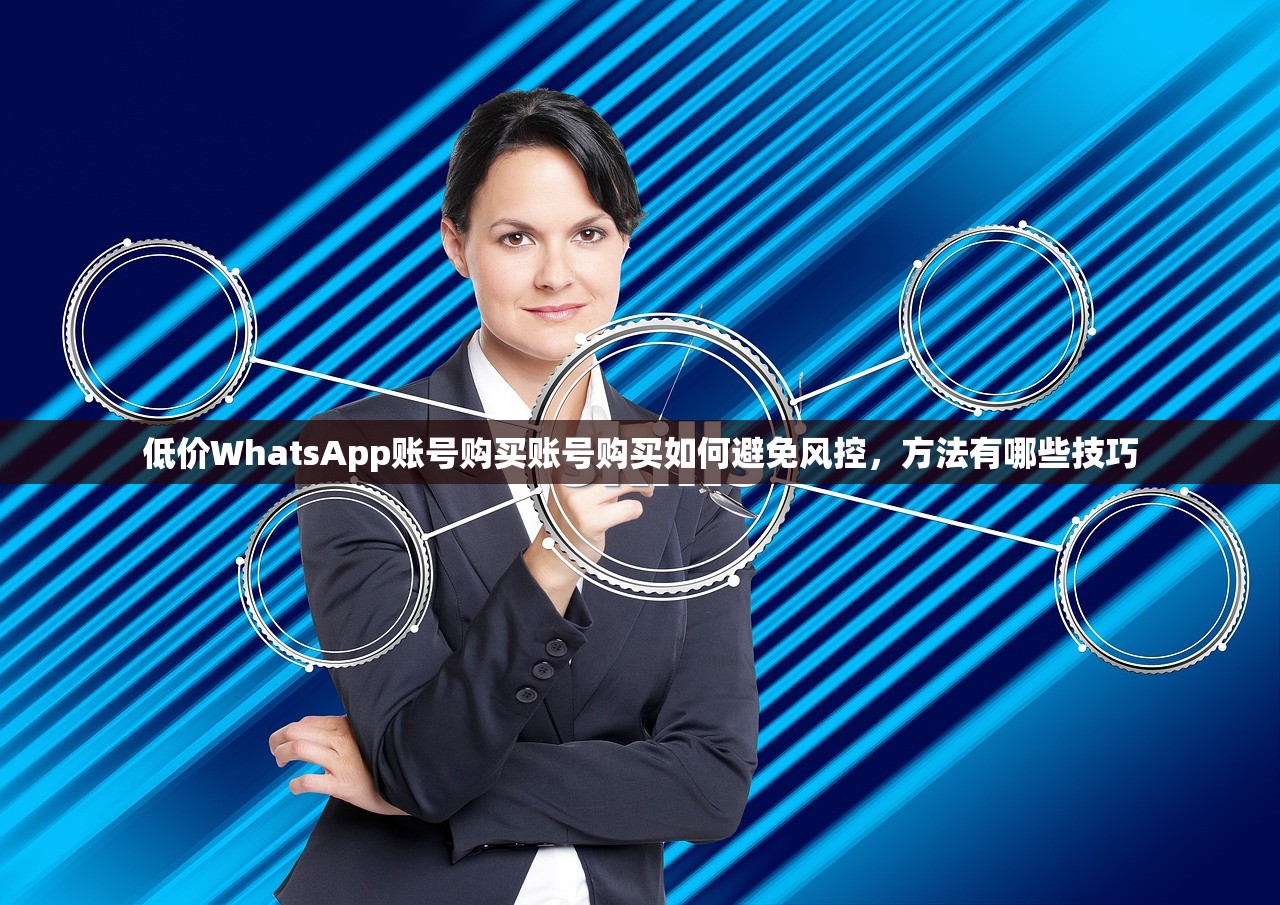 低价WhatsApp账号购买账号购买如何避免风控，方法有哪些技巧
