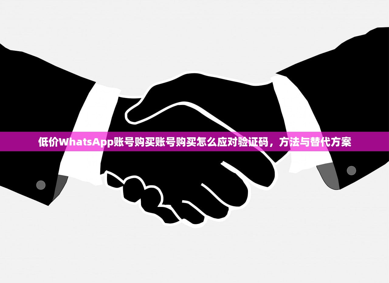 低价WhatsApp账号购买账号购买怎么应对验证码，方法与替代方案