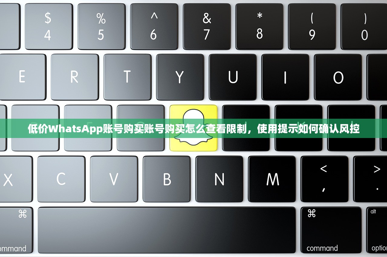 低价WhatsApp账号购买账号购买怎么查看限制,使用提示如何确认风控