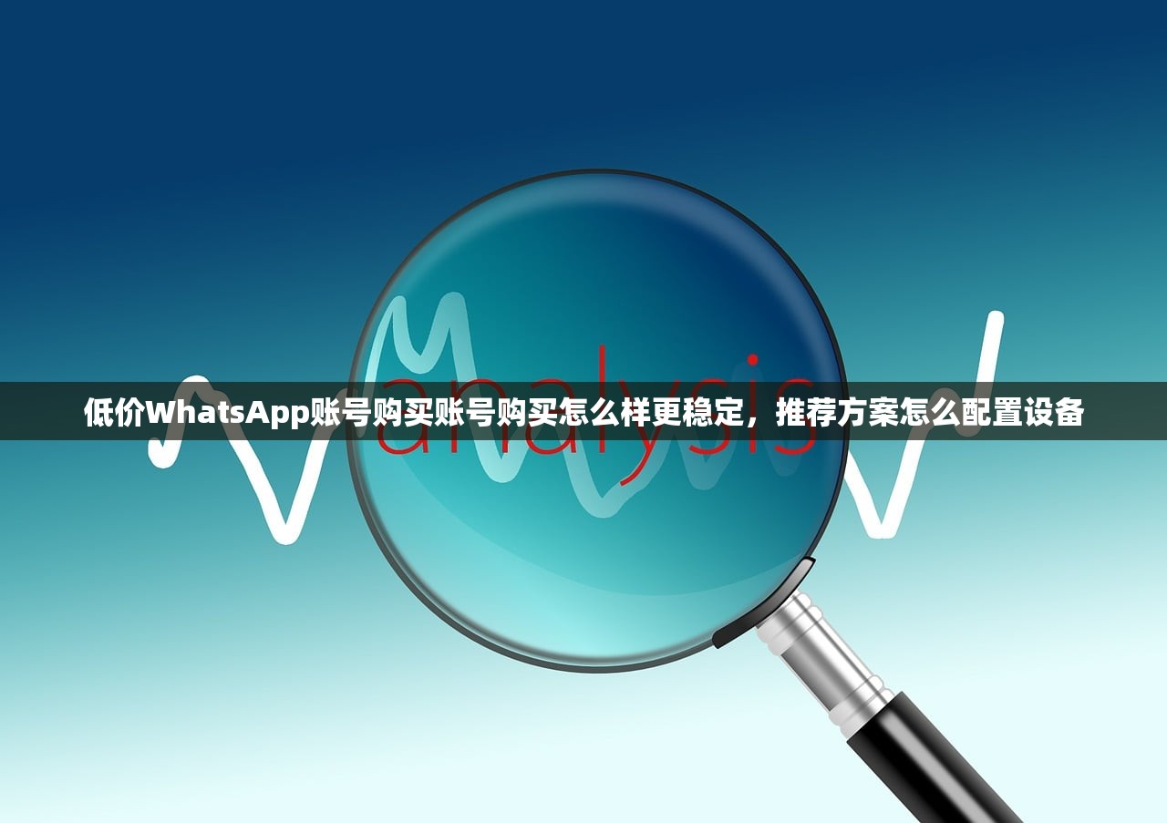 低价WhatsApp账号购买账号购买怎么样更稳定，推荐方案怎么配置设备
