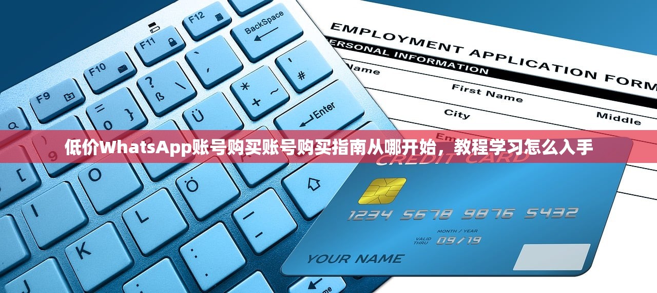 低价WhatsApp账号购买账号购买指南从哪开始,教程学习怎么入手