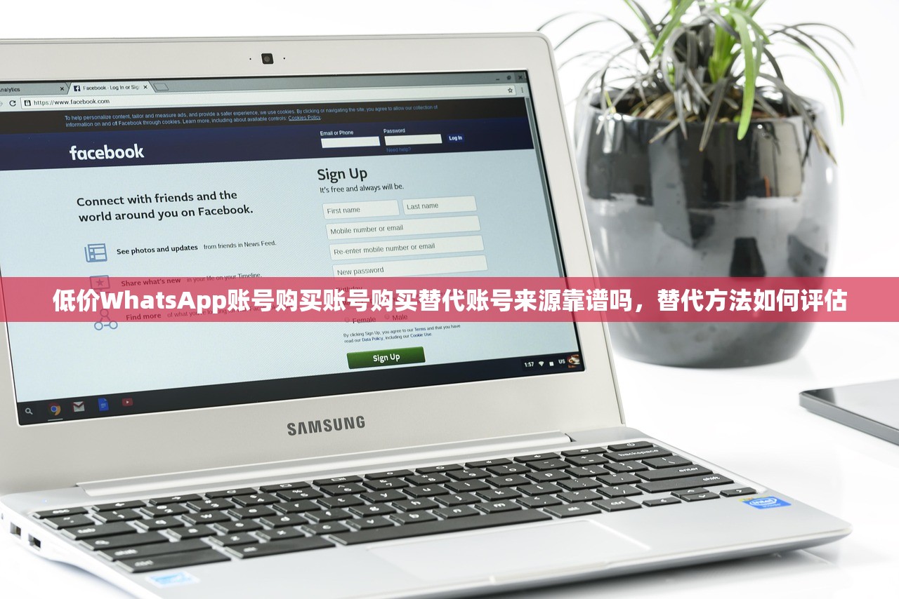 低价WhatsApp账号购买账号购买替代账号来源靠谱吗,替代方法如何评估