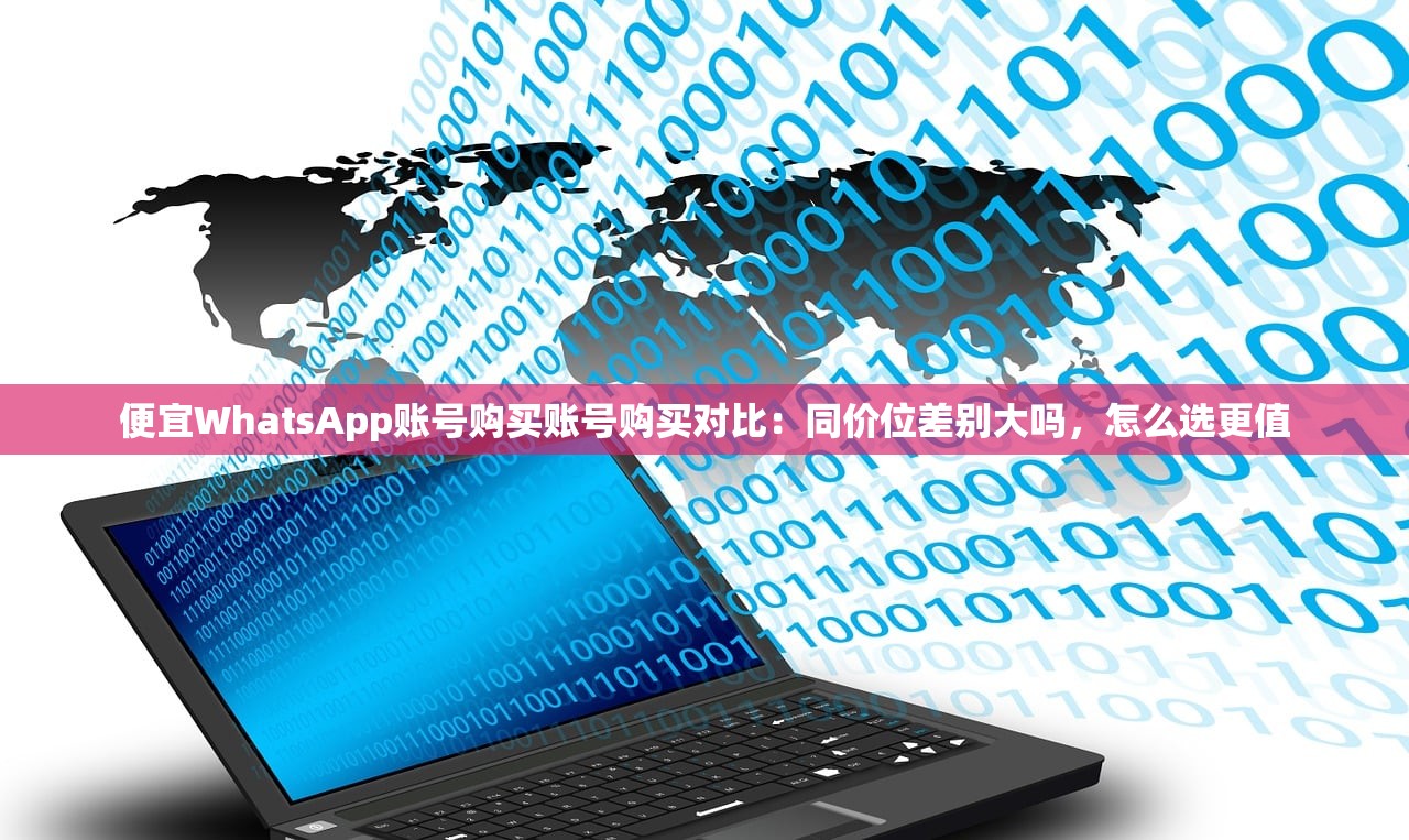 便宜WhatsApp账号购买账号购买对比:同价位差别大吗,怎么选更值
