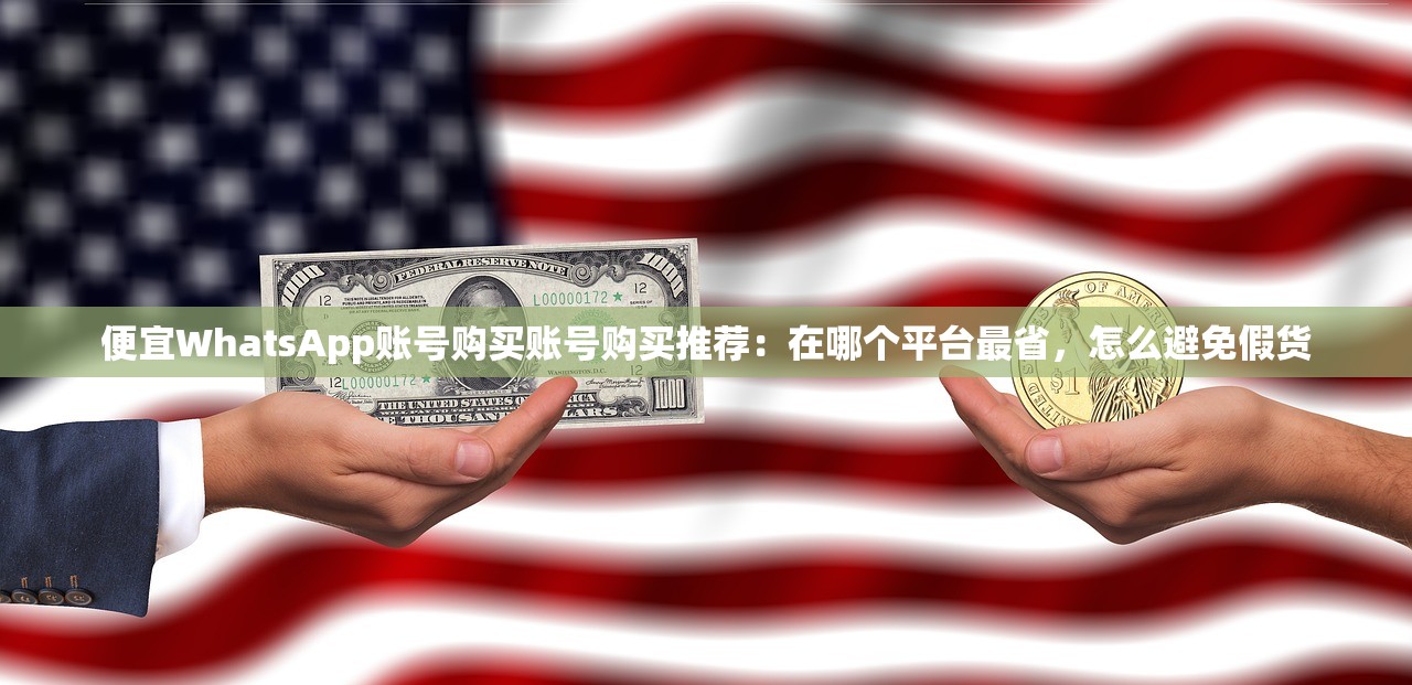 便宜WhatsApp账号购买账号购买推荐：在哪个平台最省，怎么避免假货