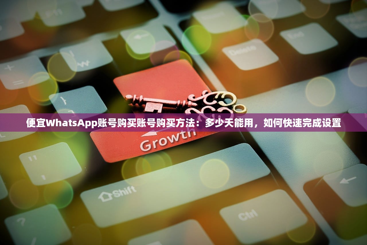 便宜WhatsApp账号购买账号购买方法:多少天能用,如何快速完成设置