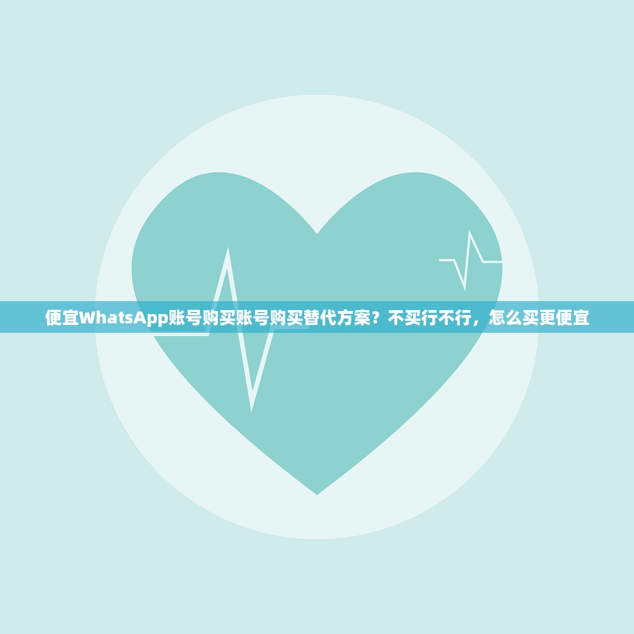 便宜WhatsApp账号购买账号购买替代方案？不买行不行，怎么买更便宜