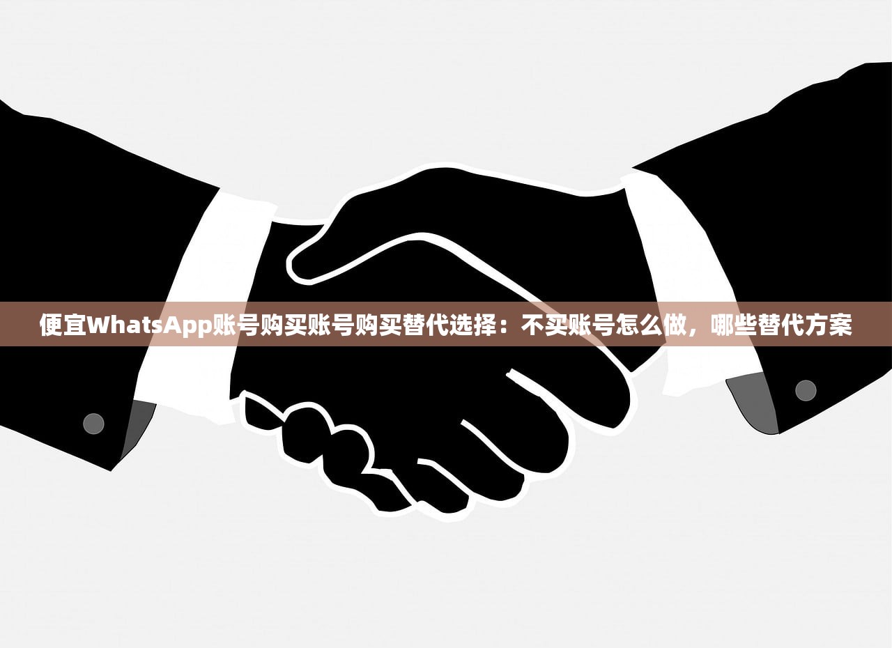 便宜WhatsApp账号购买账号购买替代选择：不买账号怎么做，哪些替代方案