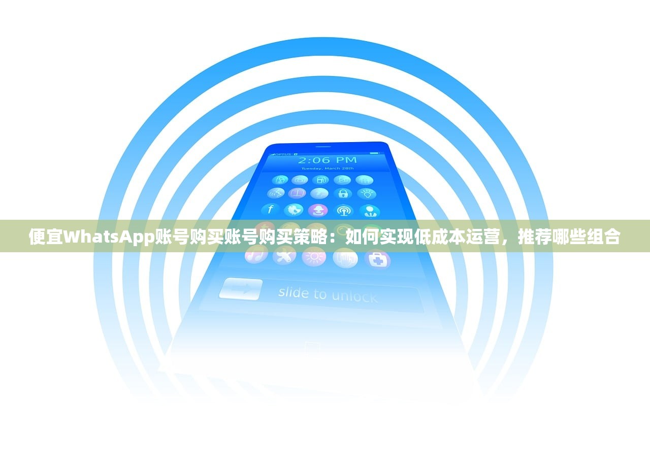 便宜WhatsApp账号购买账号购买策略:如何实现低成本运营,推荐哪些组合