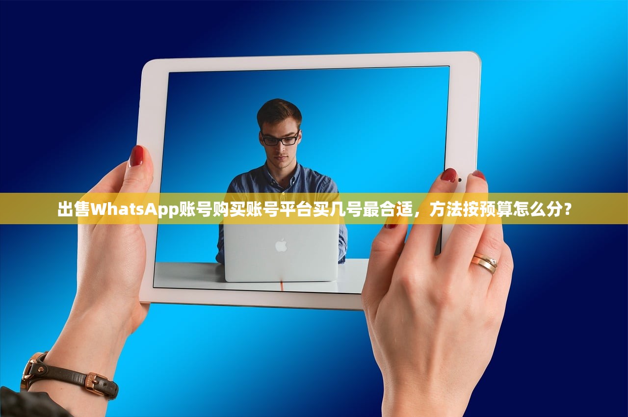 WhatsApp账号购买小号自助下单,谁需要导出订单记录及操作指南