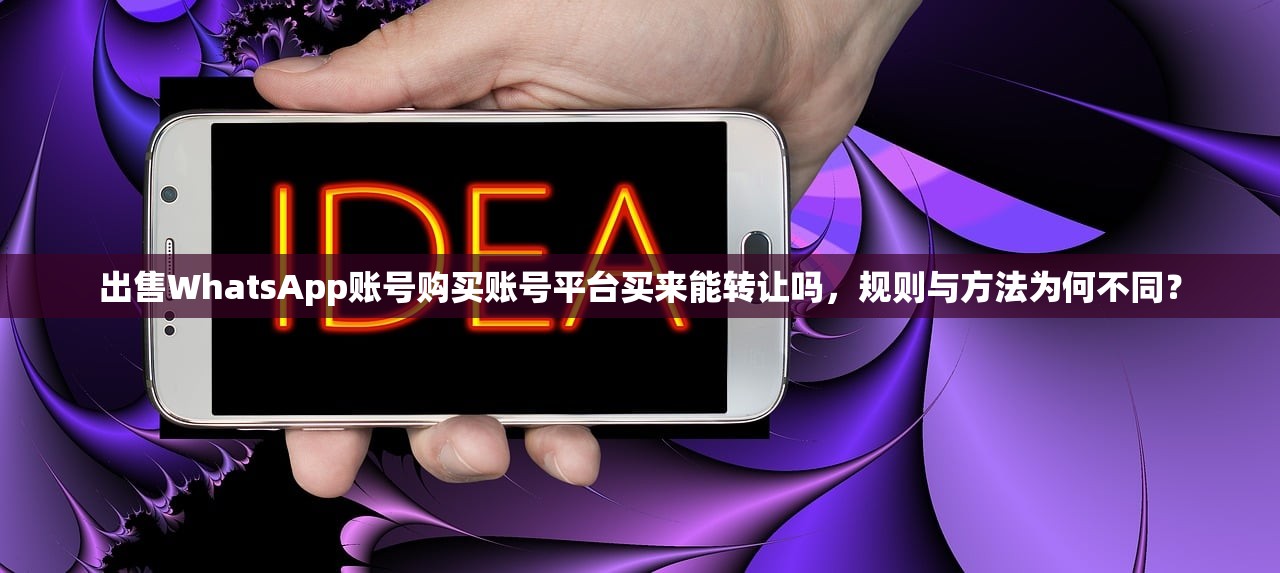 出售WhatsApp账号购买账号平台买来能转让吗,规则与方法为何不同?
