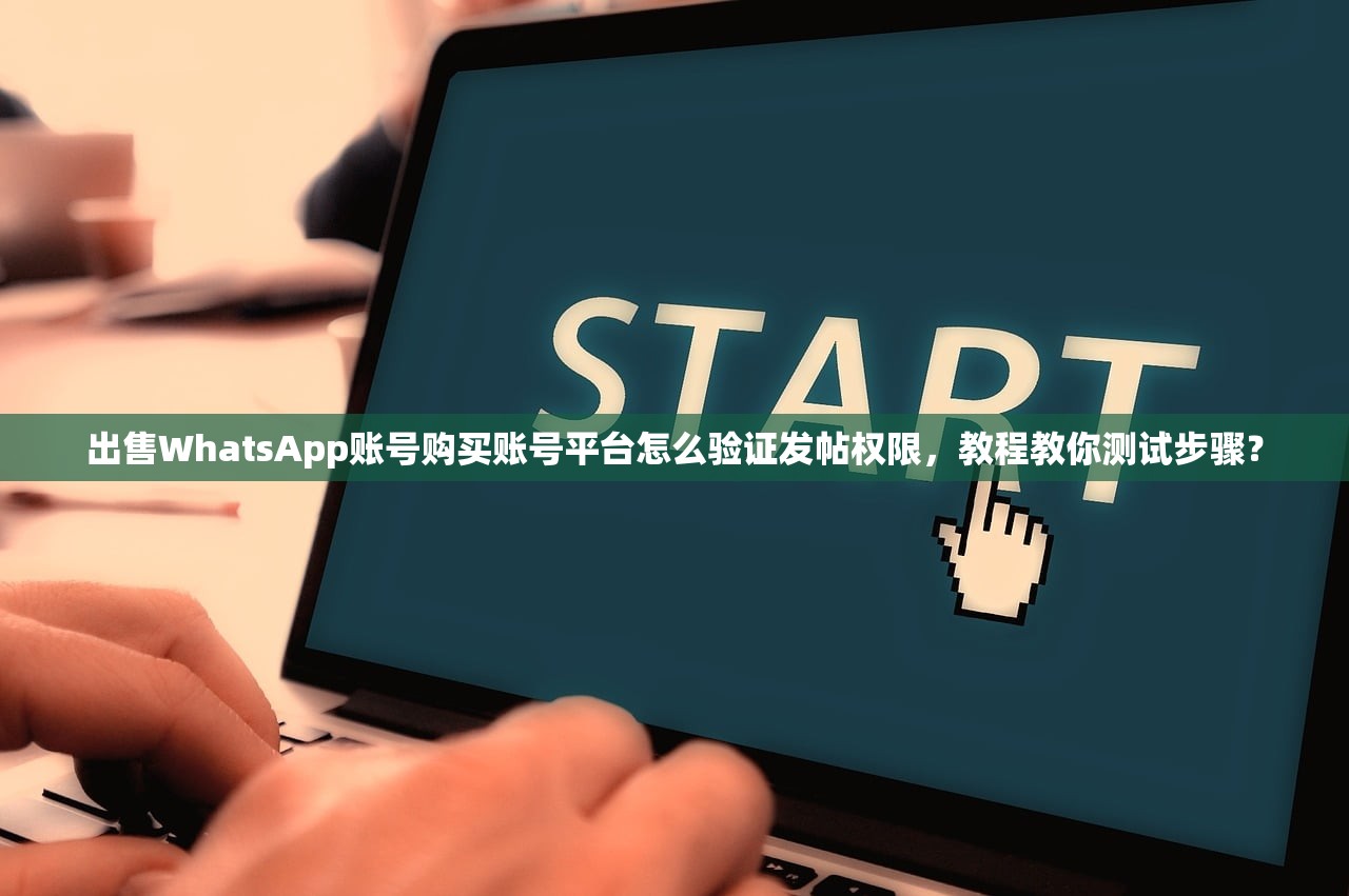 WhatsApp账号购买小号自助下单,怎么做账与对账导出步骤