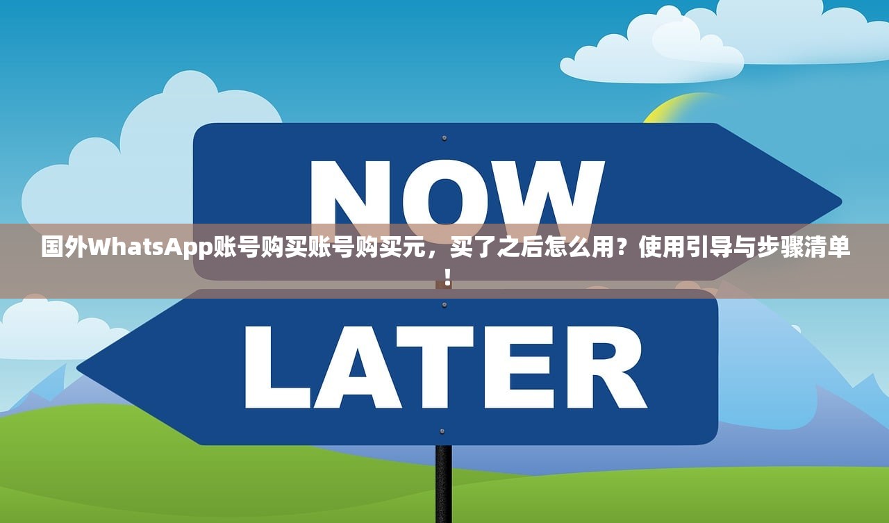 国外WhatsApp账号购买账号购买元,买了之后怎么用?使用引导与步骤清单!