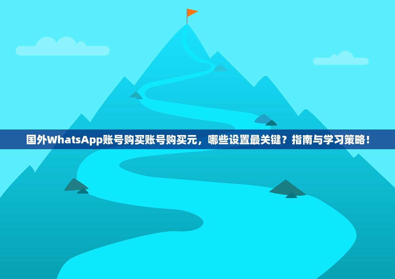国外WhatsApp账号购买账号购买元,哪些设置最关键?指南与学习策略!
