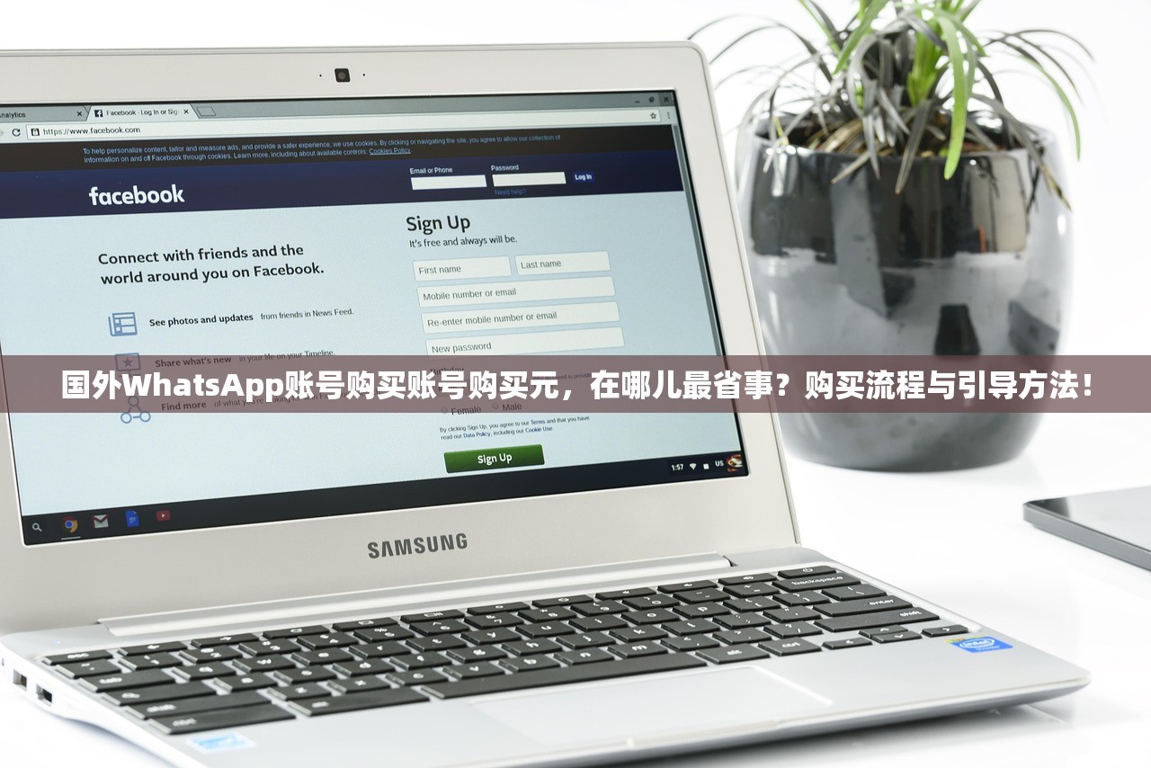 国外WhatsApp账号购买账号购买元，在哪儿最省事？购买流程与引导方法！