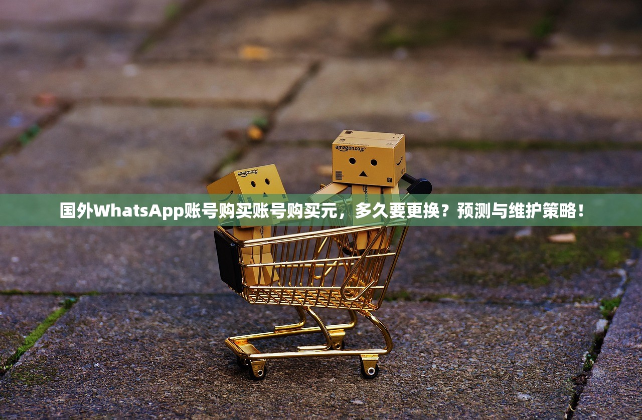 国外WhatsApp账号购买账号购买元,多久要更换?预测与维护策略!