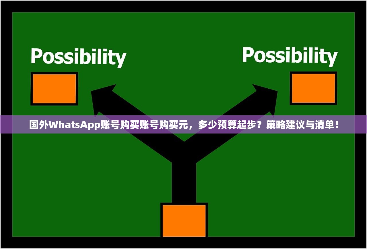 国外WhatsApp账号购买账号购买元,多少预算起步?策略建议与清单!
