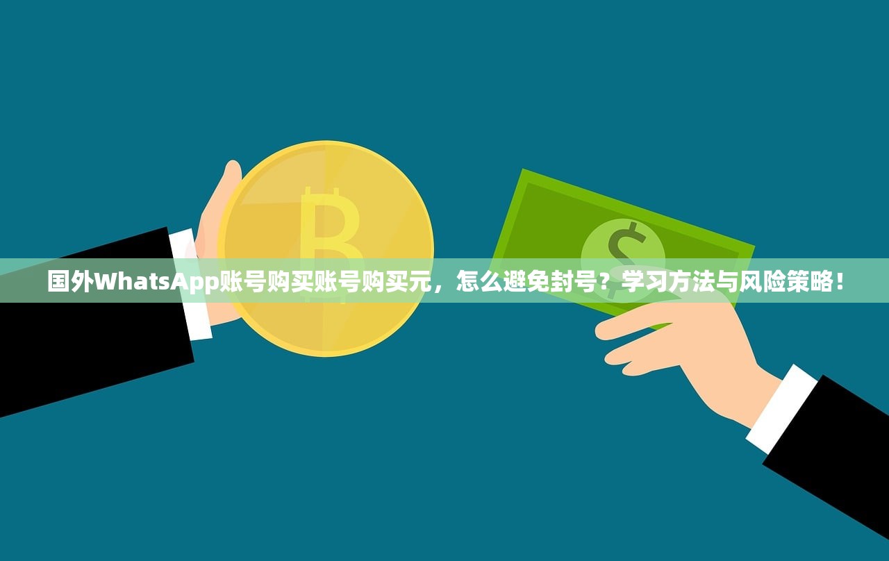 国外WhatsApp账号购买账号购买元，怎么避免封号？学习方法与风险策略！