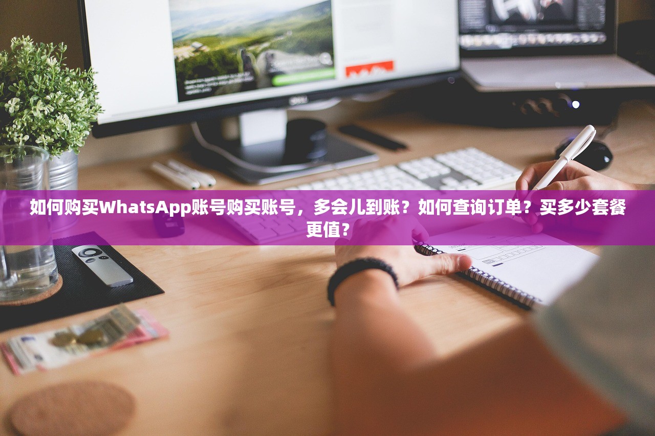 如何购买WhatsApp账号购买账号，多会儿到账？如何查询订单？买多少套餐更值？