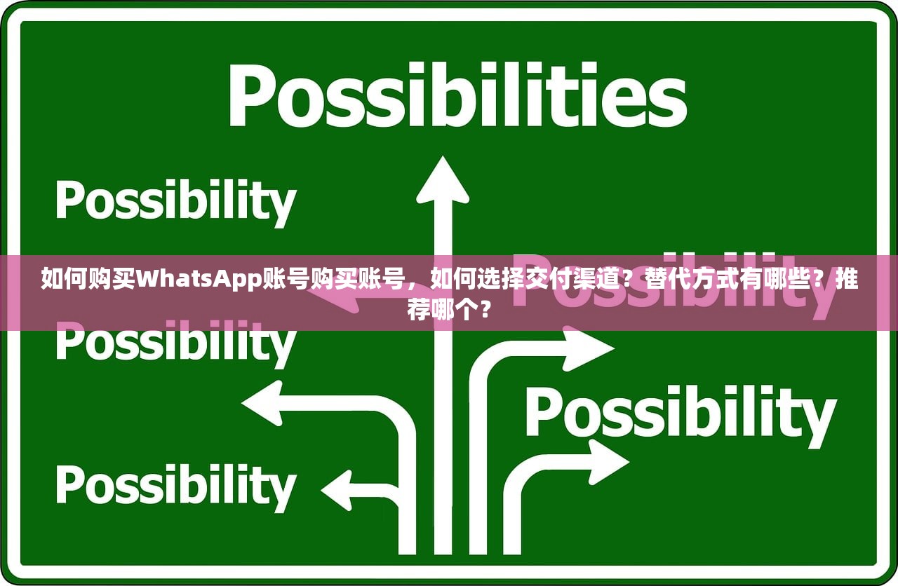 如何购买WhatsApp账号购买账号，如何选择交付渠道？替代方式有哪些？推荐哪个？